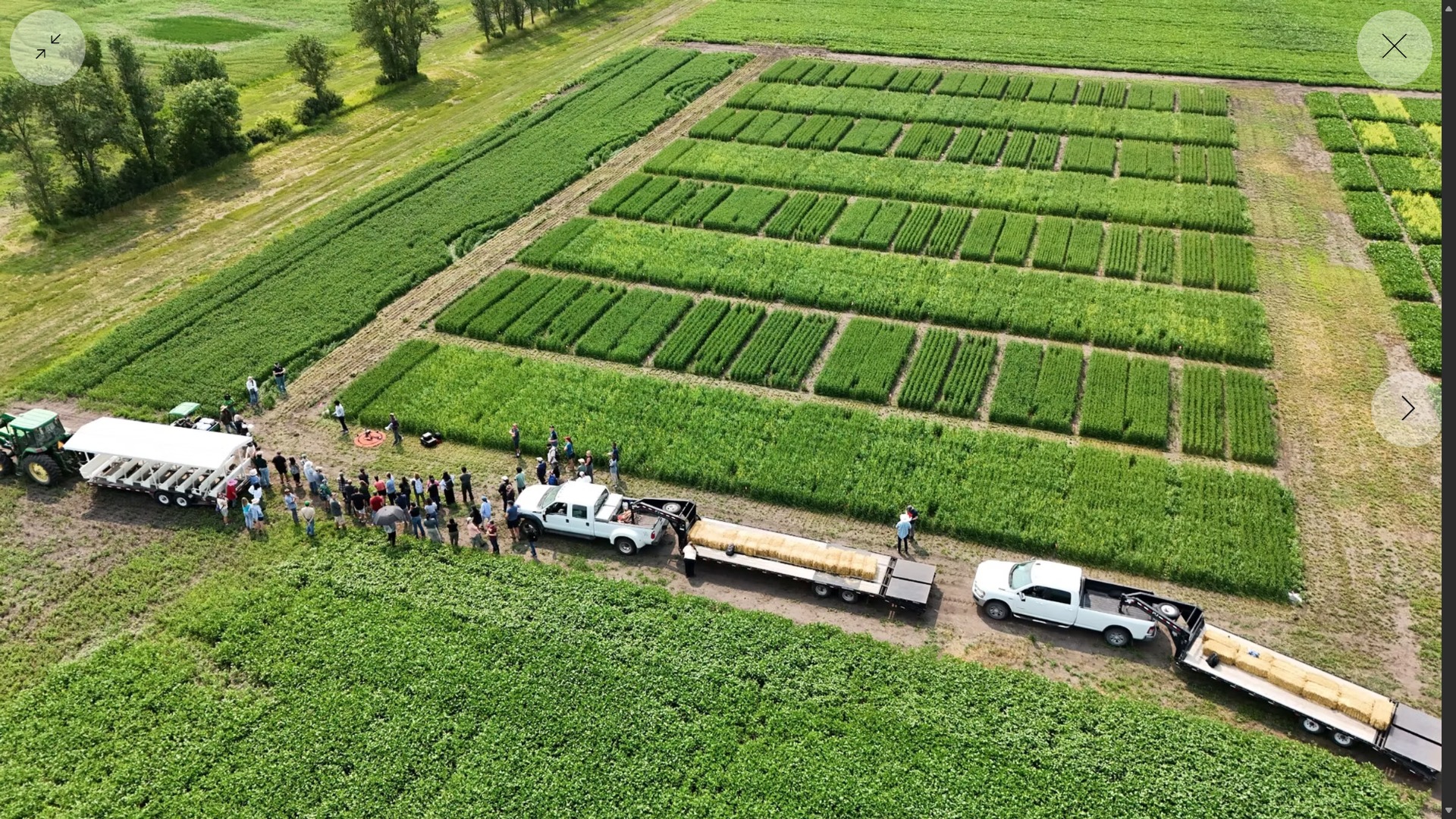 Aerial view of agricultural research fields